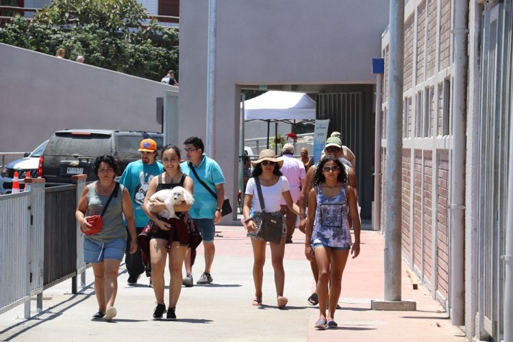 PASEO BORDE COSTERO DE TONGOY RECIBE SELLO CHILE INCLUSIVO