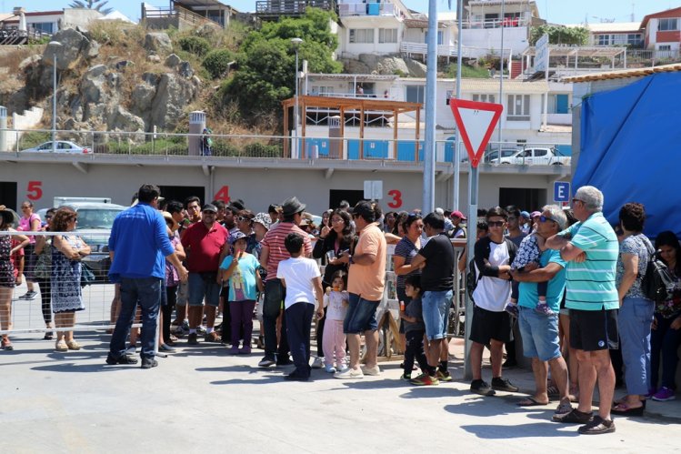 CON OSTIONES Y OSTRAS TONGOY DESPIDIÓ LOS EXITOSOS FESTIVALES GASTRONÓMICOS DE COQUIMBO 2018