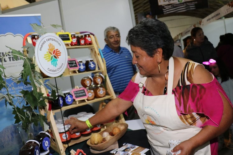 MÁS DE 20.000 PERSONAS DISFRUTARON LA NOCHE INAUGURAL DE LA EXPO REGIÓN DE COQUIMBO