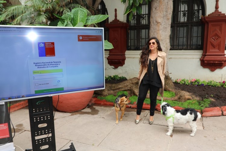DUEÑOS DE PERROS Y GATOS DEBEN INSCRIBIRLOS DESDE EL 6 DE MARZO EN REGISTRO NACIONAL DUEÑOS DE PERROS Y GATOS DEBEN INSCRIBIRLOS DESDE EL 6 DE MARZO EN REGISTRO NACIONAL