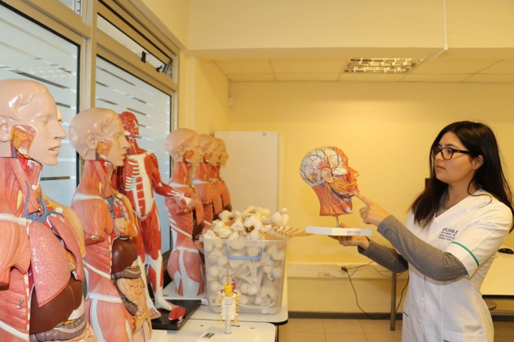 GOBIERNO ANUNCIA LEY QUE AMPLÍA LA GRATUIDAD AL 70% DE ESTUDIANTES MÁS VULNERABLES DE INSTITUTOS PROFESIONALES Y CENTROS DE FORMACIÓN TÉCNICA GOBIERNO ANUNCIA LEY QUE AMPLÍA LA GRATUIDAD AL 70% DE ESTUDIANTES MÁS VULNERABLES DE INSTITUTOS PROFESIONALES Y CENTROS DE FORMACIÓN TÉCNICA
