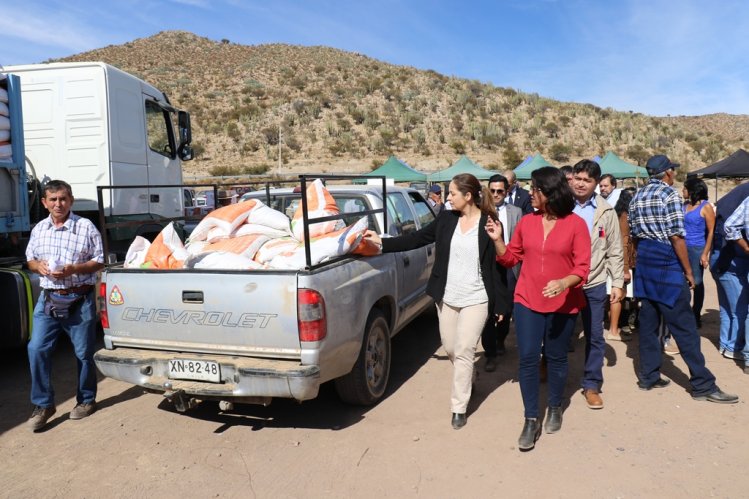 INTENDENTA LUCÍA PINTO CONSIGUE RECURSOS PARA APOYAR A AGRICULTORES AFECTADOS POR LAS HELADAS