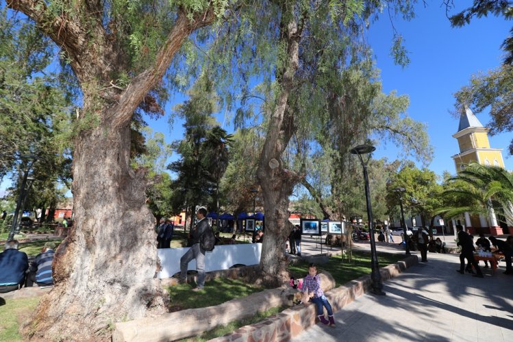 INAUGURAN NUEVA IMAGEN PARA LA PLAZA DE ARMAS EN COMBARBALÁ INAUGURAN NUEVA IMAGEN PARA LA PLAZA DE ARMAS EN COMBARBALÁ