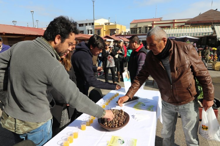 INVITAN A PARTICIPAR DE LA 17° VERSIÓN DE LA FIESTA DE LA ACEITUNA EN LOS CHOROS INVITAN A PARTICIPAR DE LA 17° VERSIÓN DE LA FIESTA DE LA ACEITUNA EN LOS CHOROS