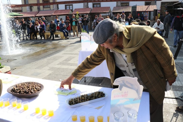 INVITAN A PARTICIPAR DE LA 17° VERSIÓN DE LA FIESTA DE LA ACEITUNA EN LOS CHOROS INVITAN A PARTICIPAR DE LA 17° VERSIÓN DE LA FIESTA DE LA ACEITUNA EN LOS CHOROS