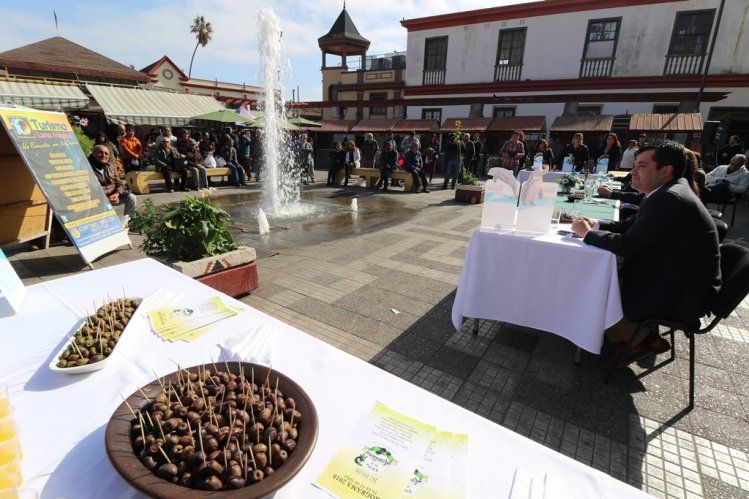 INVITAN A PARTICIPAR DE LA 17° VERSIÓN DE LA FIESTA DE LA ACEITUNA EN LOS CHOROS INVITAN A PARTICIPAR DE LA 17° VERSIÓN DE LA FIESTA DE LA ACEITUNA EN LOS CHOROS
