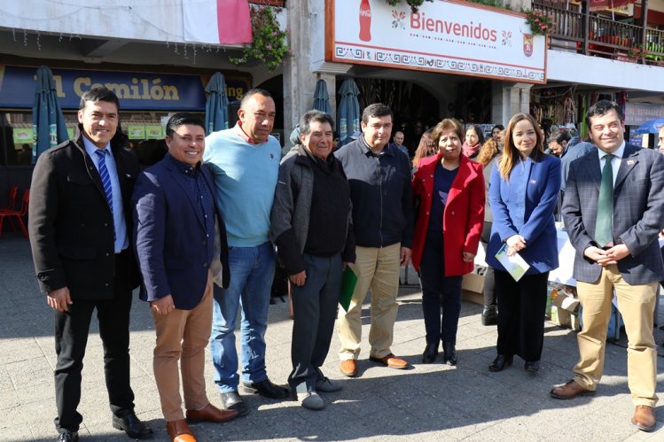 INVITAN A PARTICIPAR DE LA 17° VERSIÓN DE LA FIESTA DE LA ACEITUNA EN LOS CHOROS