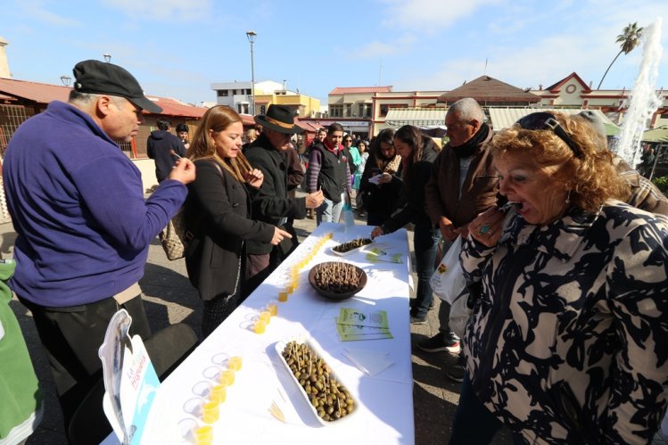 INVITAN A PARTICIPAR DE LA 17° VERSIÓN DE LA FIESTA DE LA ACEITUNA EN LOS CHOROS