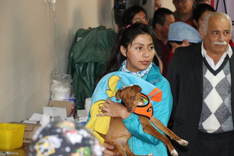 INICIAN OPERATIVOS GRATUITOS DE ESTERILIZACIÓN Y MICROCHIPEO PARA MASCOTAS DE LA SERENA