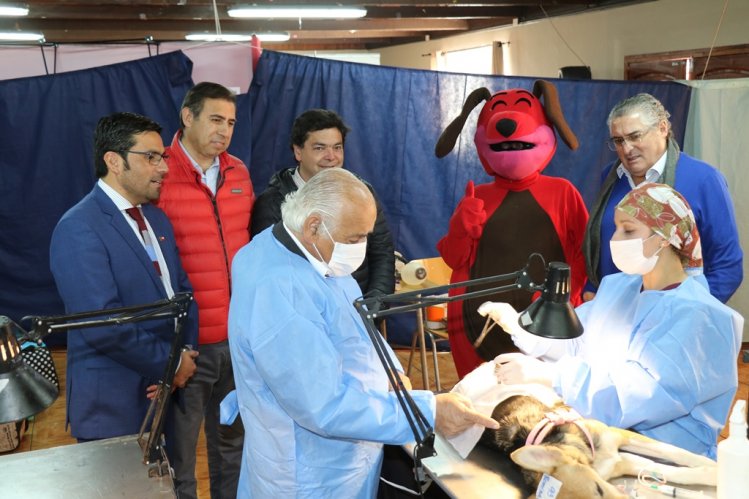 INICIAN OPERATIVOS GRATUITOS DE ESTERILIZACIÓN Y MICROCHIPEO PARA MASCOTAS DE LA SERENA