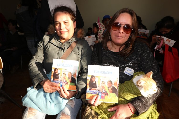 INICIAN OPERATIVOS GRATUITOS DE ESTERILIZACIÓN Y MICROCHIPEO PARA MASCOTAS DE LA SERENA INICIAN OPERATIVOS GRATUITOS DE ESTERILIZACIÓN Y MICROCHIPEO PARA MASCOTAS DE LA SERENA