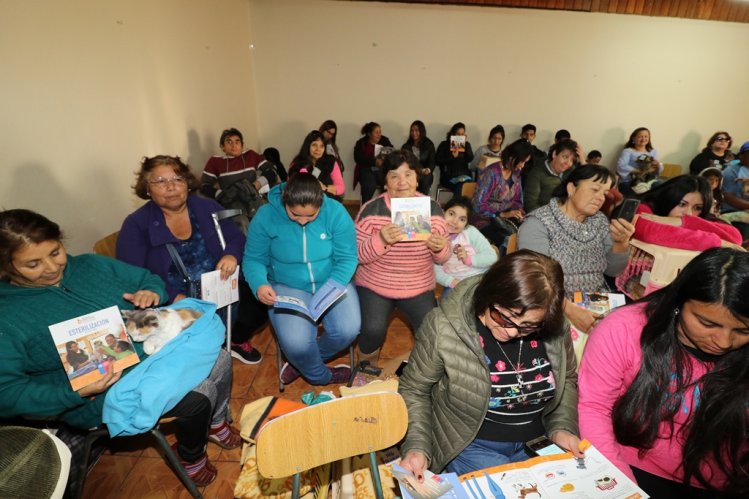 INICIAN OPERATIVOS GRATUITOS DE ESTERILIZACIÓN Y MICROCHIPEO PARA MASCOTAS DE LA SERENA