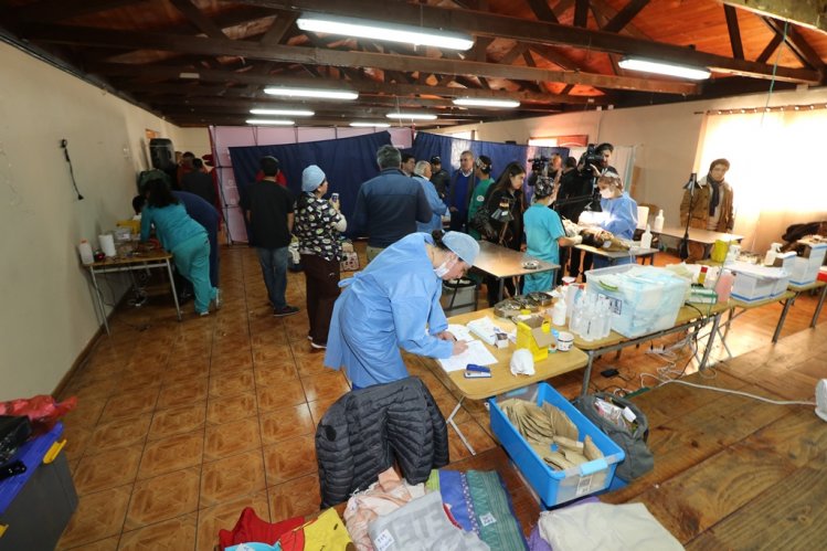 INICIAN OPERATIVOS GRATUITOS DE ESTERILIZACIÓN Y MICROCHIPEO PARA MASCOTAS DE LA SERENA