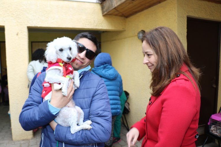 DESTACAN POSITIVO AVANCE EN LAS ESTERILIZACIONES DE MASCOTAS EN LA SERENA DESTACAN POSITIVO AVANCE EN LAS ESTERILIZACIONES DE MASCOTAS EN LA SERENA