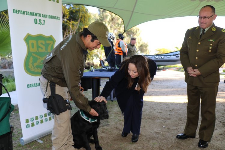 GOBIERNO Y CARABINEROS INCLUYEN LA EXPERIENCIA INTERNACIONAL EN EL COMBATE A LAS DROGAS