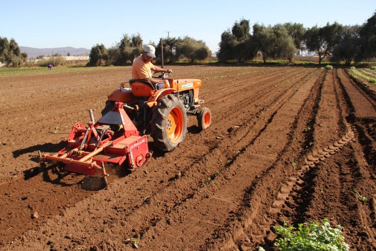 GOBIERNO REGIONAL DESTINARÁ MÁS DE DOS MIL MILLONES DE PESOS PARA ATENDER LA REACTIVACIÓN AGROPECUARIA GOBIERNO REGIONAL DESTINARÁ MÁS DE DOS MIL MILLONES DE PESOS PARA ATENDER LA REACTIVACIÓN AGROPECUARIA