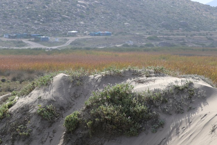 GOBIERNO BUSCA DECLARAR COMO SITIO RAMSAR AL HUMEDAL DE PUNTA TEATINOS