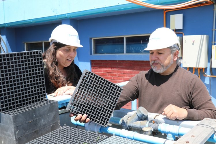 EVALÚAN IMPLEMENTAR TECNOLOGÍA JAPONESA PARA APROVECHAR AGUAS GRISES EN LOCALIDADES RURALES EVALÚAN IMPLEMENTAR TECNOLOGÍA JAPONESA PARA APROVECHAR AGUAS GRISES EN LOCALIDADES RURALES
