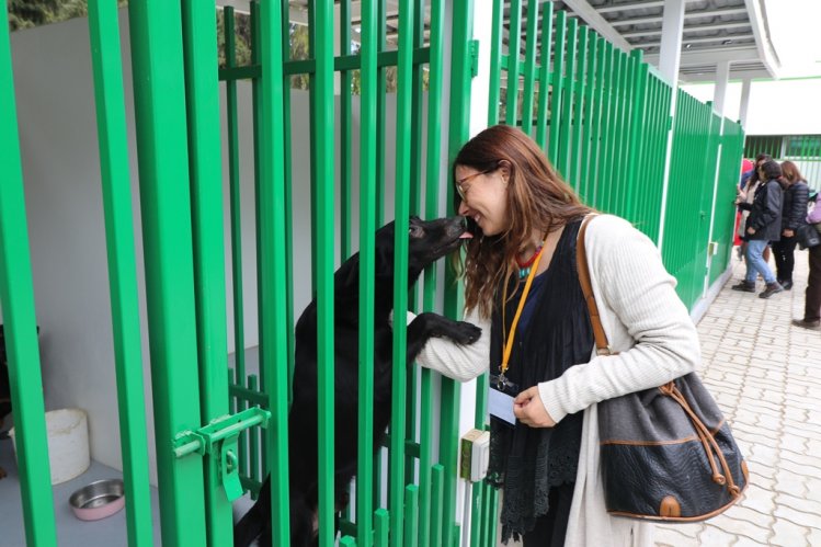 EN LA SERENA SE INAUGURÓ EL PRIMER CENTRO DE TENENCIA RESPONSABLE DE ANIMALES DE COMPAÑÍA DE CHILE EN LA SERENA SE INAUGURÓ EL PRIMER CENTRO DE TENENCIA RESPONSABLE DE ANIMALES DE COMPAÑÍA DE CHILE