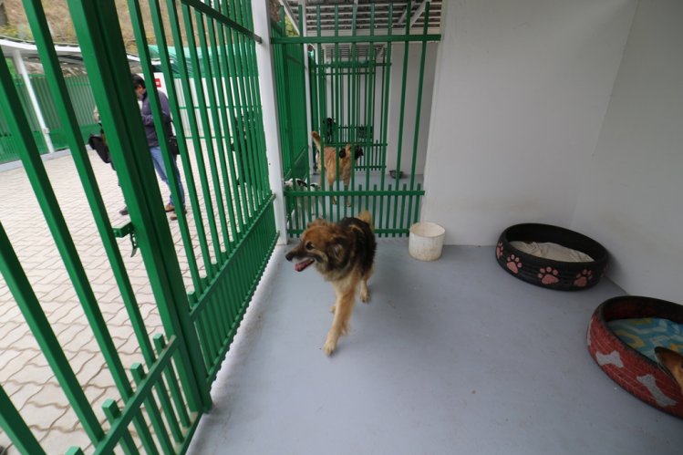 EN LA SERENA SE INAUGURÓ EL PRIMER CENTRO DE TENENCIA RESPONSABLE DE ANIMALES DE COMPAÑÍA DE CHILE EN LA SERENA SE INAUGURÓ EL PRIMER CENTRO DE TENENCIA RESPONSABLE DE ANIMALES DE COMPAÑÍA DE CHILE