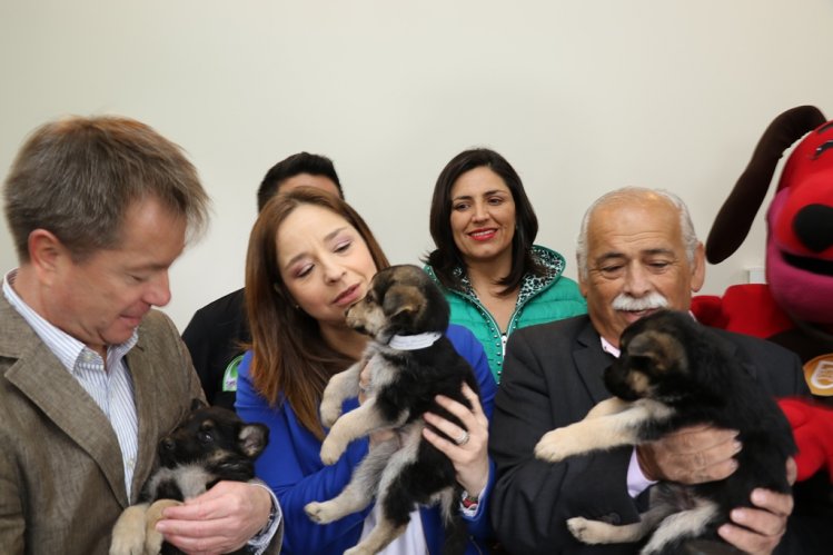 EN LA SERENA SE INAUGURÓ EL PRIMER CENTRO DE TENENCIA RESPONSABLE DE ANIMALES DE COMPAÑÍA DE CHILE