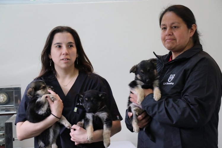 EN LA SERENA SE INAUGURÓ EL PRIMER CENTRO DE TENENCIA RESPONSABLE DE ANIMALES DE COMPAÑÍA DE CHILE