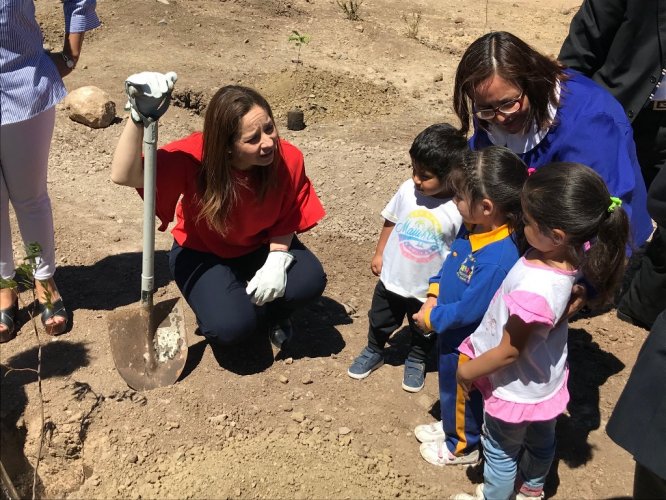 CON LA PLANTACIÓN DE 300 ÁRBOLES PARTE EL PLAN DE FORESTACIÓN DE ANDACOLLO