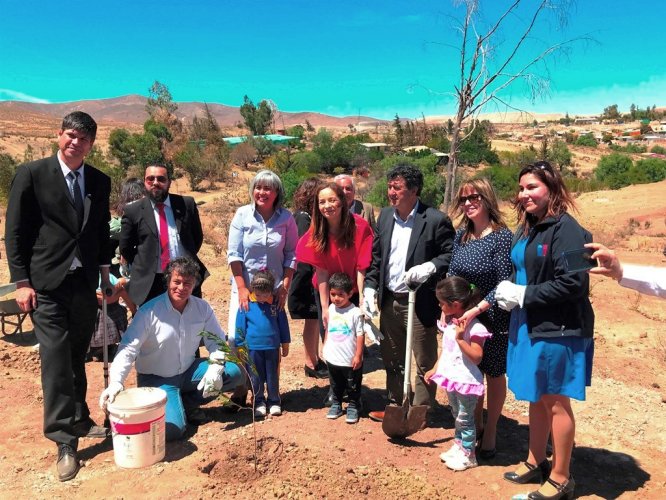 CON LA PLANTACIÓN DE 300 ÁRBOLES PARTE EL PLAN DE FORESTACIÓN DE ANDACOLLO