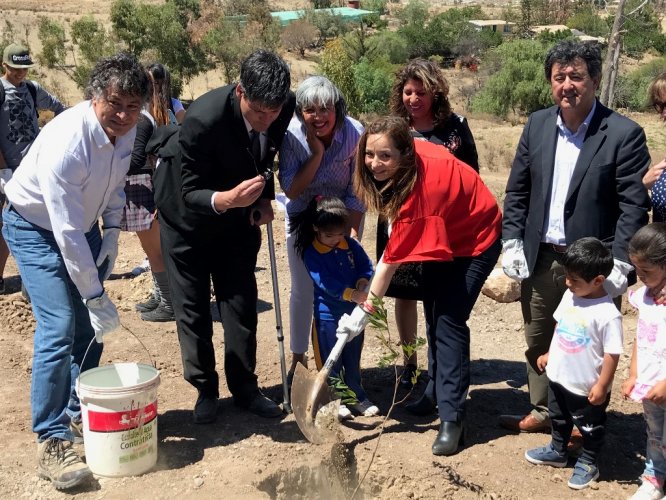 CON LA PLANTACIÓN DE 300 ÁRBOLES PARTE EL PLAN DE FORESTACIÓN DE ANDACOLLO