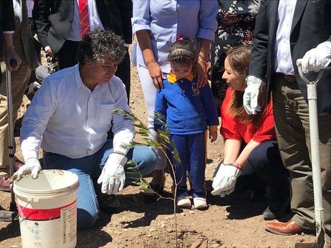 CON LA PLANTACIÓN DE 300 ÁRBOLES PARTE EL PLAN DE FORESTACIÓN DE ANDACOLLO