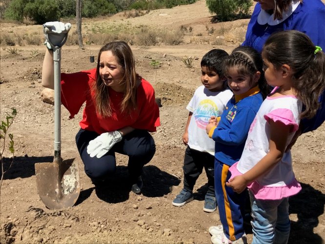 CON LA PLANTACIÓN DE 300 ÁRBOLES PARTE EL PLAN DE FORESTACIÓN DE ANDACOLLO