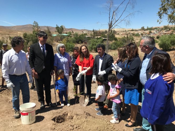 CON LA PLANTACIÓN DE 300 ÁRBOLES PARTE EL PLAN DE FORESTACIÓN DE ANDACOLLO