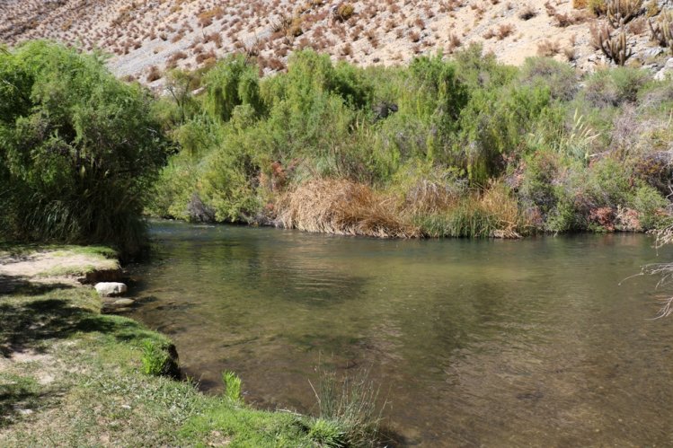 GOBIERNO INICIA PROCESO PARA DECLARAR SANTUARIO DE LA NATURALEZA A MÁS DE 44 HECTÁREAS EN COCHIGUAZ