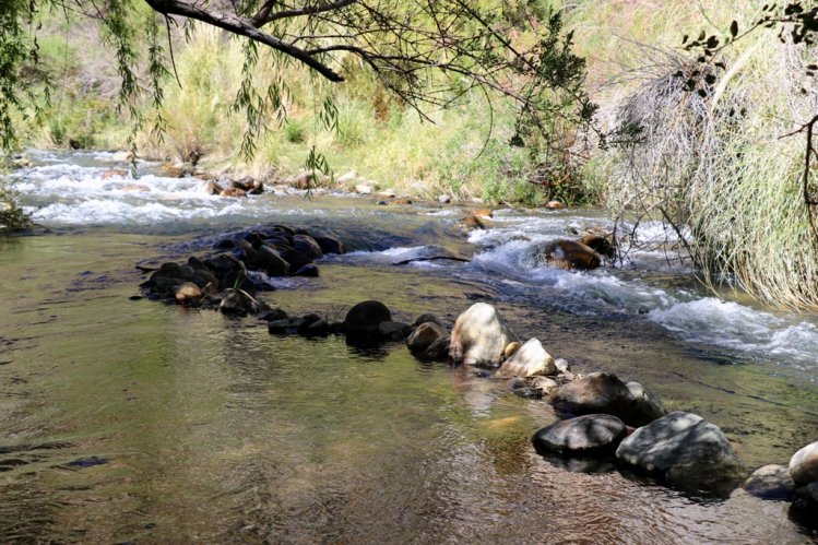 GOBIERNO INICIA PROCESO PARA DECLARAR SANTUARIO DE LA NATURALEZA A MÁS DE 44 HECTÁREAS EN COCHIGUAZ