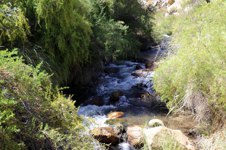 GOBIERNO INICIA PROCESO PARA DECLARAR SANTUARIO DE LA NATURALEZA A MÁS DE 44 HECTÁREAS EN COCHIGUAZ