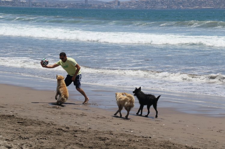 GOBIERNO LANZA CAMPAÑA QUE PROMUEVE EL LIBRE ACCESO A RÍOS, LAGOS Y PLAYAS