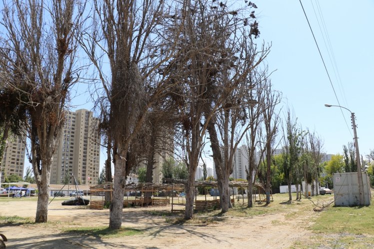 AUTORIDADES REVISAN LOS ÚLTIMOS DETALLES EN EL RECINTO PEÑUELAS PARA DAR VIDA A LA EXPO REGIÓN DE COQUIMBO 2019