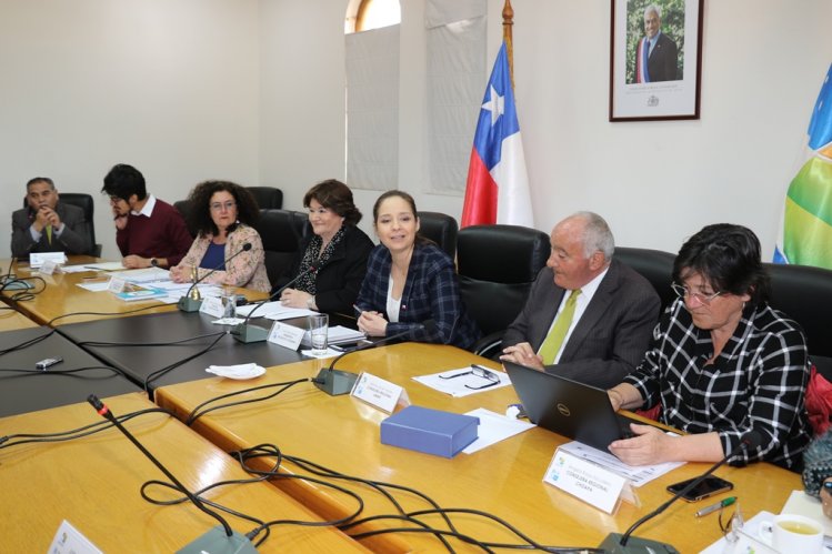 APRUEBAN PLAN DE ZONAS REZAGADAS 2019-2021 EN QUE EL GOBIERNO REGIONAL INVERTIRÁ MÁS DE $11 MIL MILLONES DE PESOS APRUEBAN PLAN DE ZONAS REZAGADAS 2019-2021 EN QUE EL GOBIERNO REGIONAL INVERTIRÁ MÁS DE $11 MIL MILLONES DE PESOS