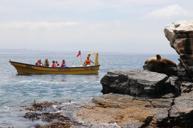 RESERVA PINGÜINO DE HUMBOLDT REBAJA TARIFA DE INGRESO POR EL RESTO DE LA TEMPORADA