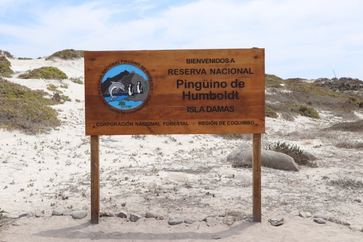 RESERVA PINGÜINO DE HUMBOLDT REBAJA TARIFA DE INGRESO POR EL RESTO DE LA TEMPORADA