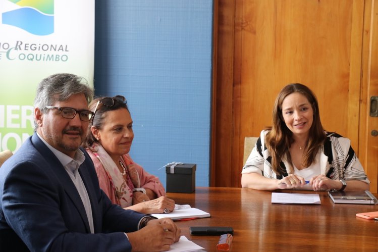 MUJER, PYMES Y CRECIMIENTO INCLUSIVO MARCAN LA CONFORMACIÓN DE LA MESA REGIONAL APEC 2019 MUJER, PYMES Y CRECIMIENTO INCLUSIVO MARCAN LA CONFORMACIÓN DE LA MESA REGIONAL APEC 2019