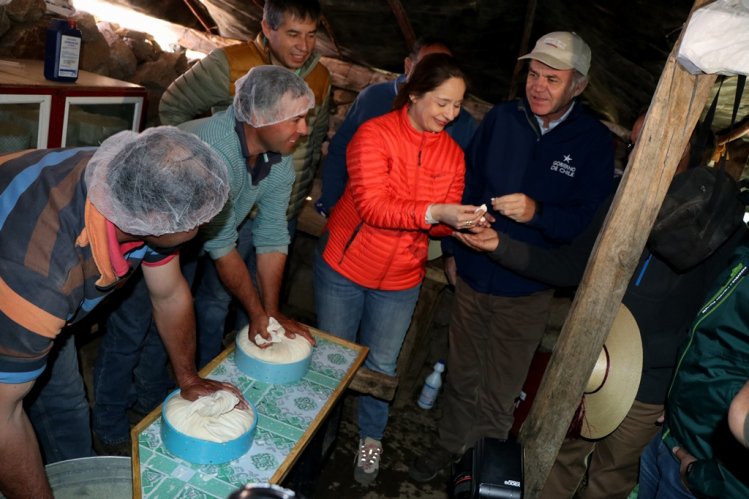 MÁS DE 75 MIL CABEZAS DE GANADO SE PREPARAN PARA RETORNAR DESDE LAS VERANADAS MÁS DE 75 MIL CABEZAS DE GANADO SE PREPARAN PARA RETORNAR DESDE LAS VERANADAS