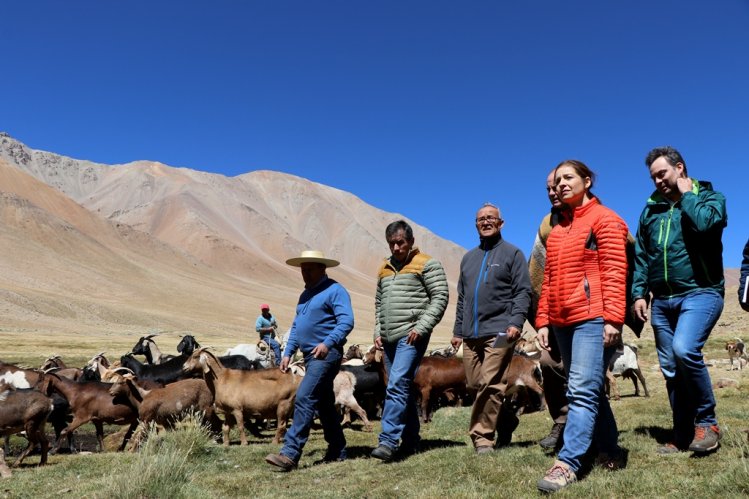 MÁS DE 75 MIL CABEZAS DE GANADO SE PREPARAN PARA RETORNAR DESDE LAS VERANADAS MÁS DE 75 MIL CABEZAS DE GANADO SE PREPARAN PARA RETORNAR DESDE LAS VERANADAS