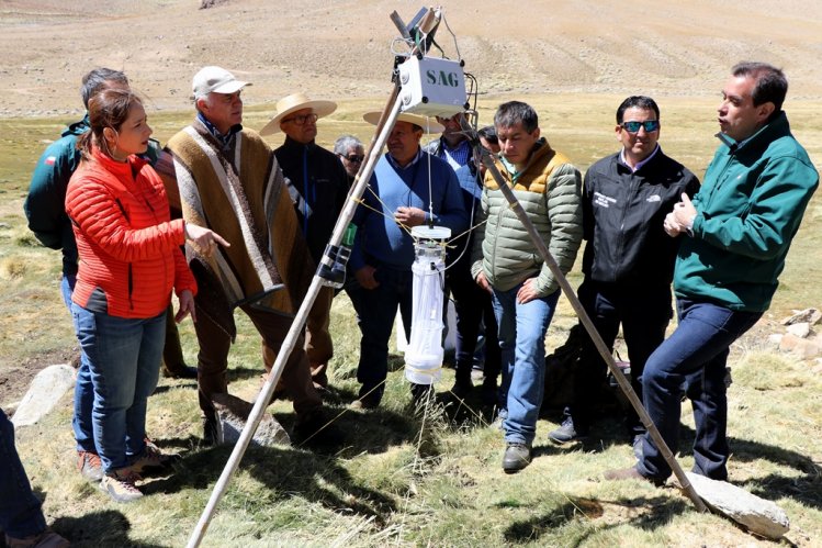 MÁS DE 75 MIL CABEZAS DE GANADO SE PREPARAN PARA RETORNAR DESDE LAS VERANADAS