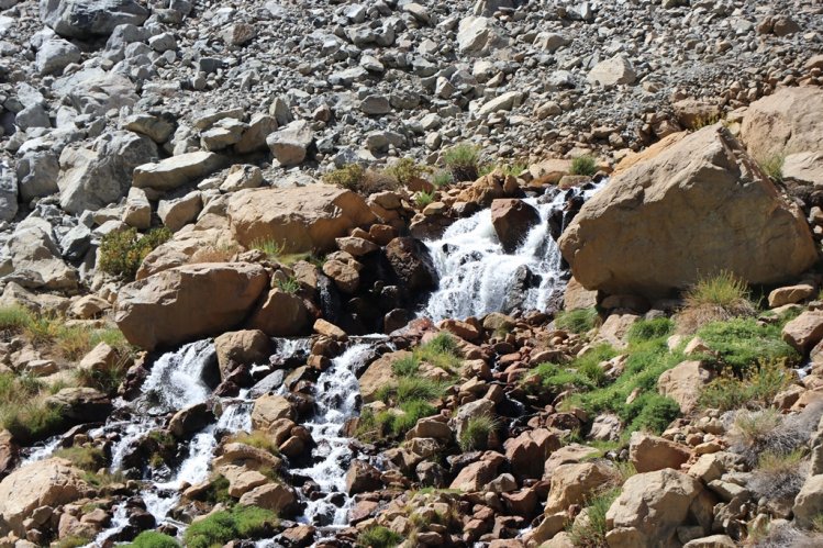 COMUNEROS SOLICITAN PROFUNDIZAR LA PROTECCIÓN DEL PATRIMONIO NATURAL DE ESTERO DERECHO