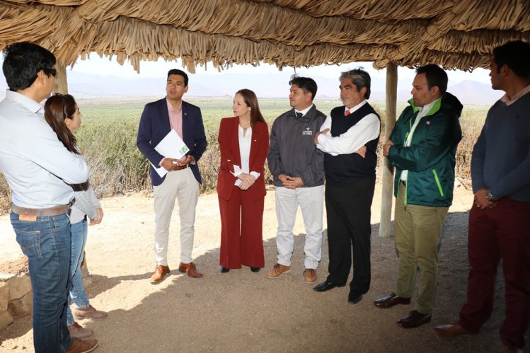 DESTACAN DIVERSIFICACIÓN AGRÍCOLA COMO MOTOR DE RECUPERACIÓN DE LA AGRICULTURA LOCAL DESTACAN DIVERSIFICACIÓN AGRÍCOLA COMO MOTOR DE RECUPERACIÓN DE LA AGRICULTURA LOCAL