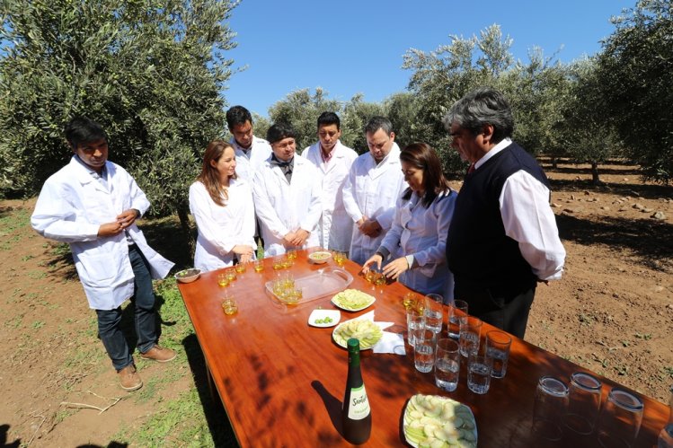 DESTACAN DIVERSIFICACIÓN AGRÍCOLA COMO MOTOR DE RECUPERACIÓN DE LA AGRICULTURA LOCAL DESTACAN DIVERSIFICACIÓN AGRÍCOLA COMO MOTOR DE RECUPERACIÓN DE LA AGRICULTURA LOCAL