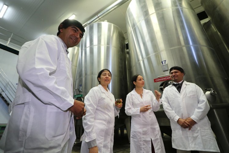 DESTACAN DIVERSIFICACIÓN AGRÍCOLA COMO MOTOR DE RECUPERACIÓN DE LA AGRICULTURA LOCAL DESTACAN DIVERSIFICACIÓN AGRÍCOLA COMO MOTOR DE RECUPERACIÓN DE LA AGRICULTURA LOCAL