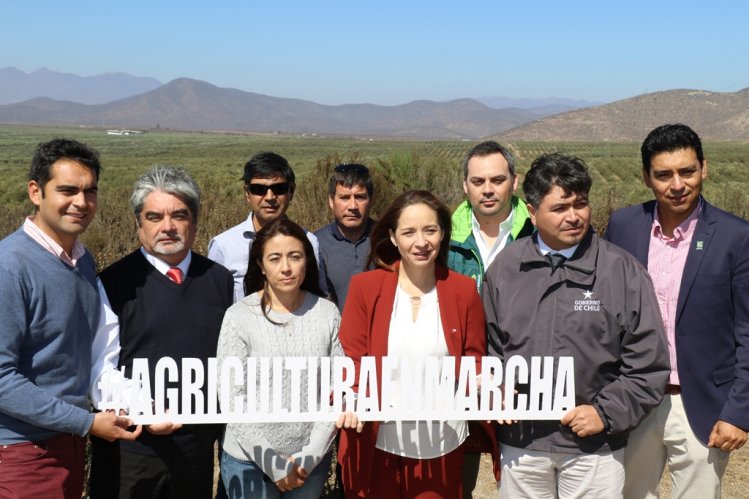 DESTACAN DIVERSIFICACIÓN AGRÍCOLA COMO MOTOR DE RECUPERACIÓN DE LA AGRICULTURA LOCAL DESTACAN DIVERSIFICACIÓN AGRÍCOLA COMO MOTOR DE RECUPERACIÓN DE LA AGRICULTURA LOCAL