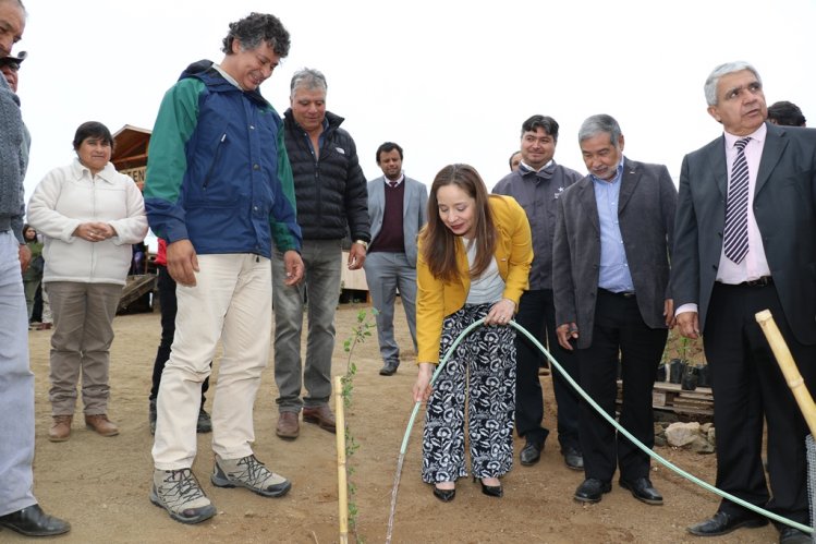 COMUNIDADES VECINAS AL PARQUE FRAY JORGE PODRÁN DESARROLLAR EMPRENDIMIENTOS SUSTENTABLES EN LA RESERVA DE LA BIÓSFERA